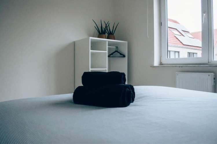 Apartment De Spuikom Ostende
